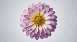 Gentle IVF: A Kinder Approach to Fertility